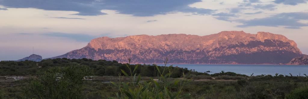 Bados Mare Daire Olbia Dış mekan fotoğraf